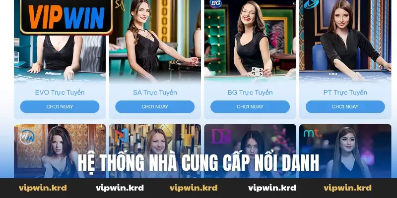 Hệ thống nhà cung cấp nổi danh